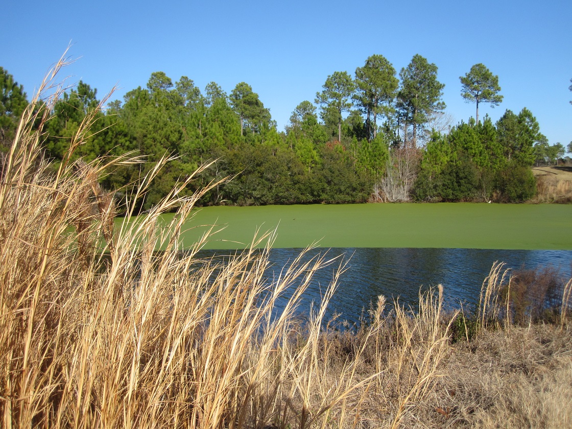 golf course at Winding River Plantation